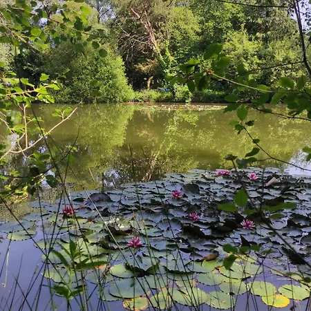 Campingplads Hebergements Insolites Dans Un Cadre Naturel Preserve