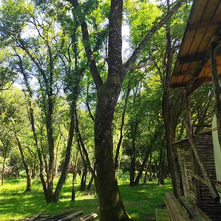 Hebergements Insolites Dans Un Cadre Naturel Preserve Kamp alanı Guenrouet