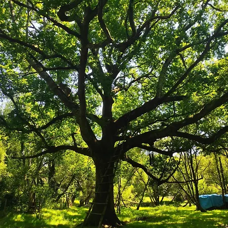 Hebergements Insolites Dans Un Cadre Naturel Preserve *